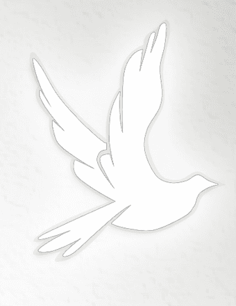 Dyanne Louise Bolton Obituary
